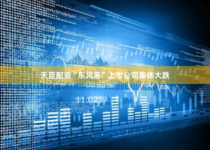 天臣配资“东风系”上市公司集体大跌