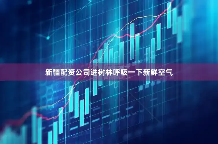 新疆配资公司进树林呼吸一下新鲜空气