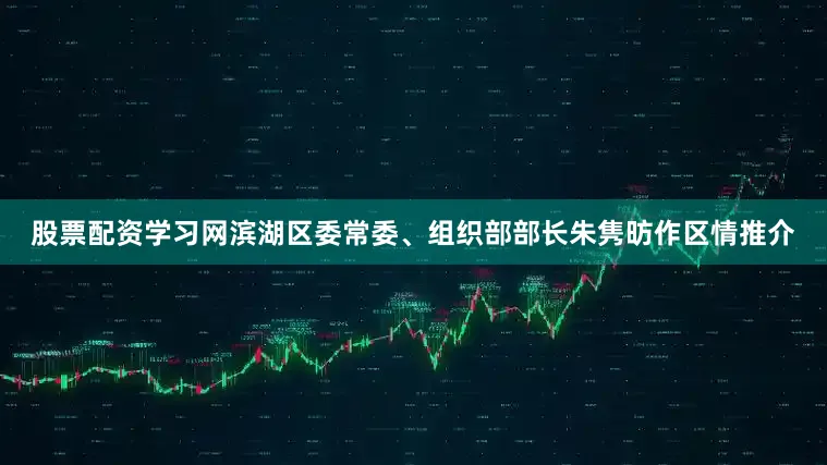 股票配资学习网滨湖区委常委、组织部部长朱隽昉作区情推介