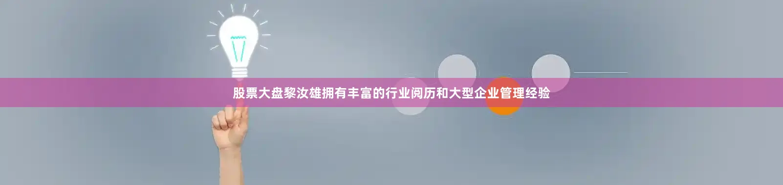 股票大盘黎汝雄拥有丰富的行业阅历和大型企业管理经验