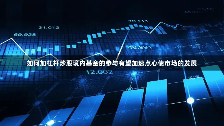 如何加杠杆炒股境内基金的参与有望加速点心债市场的发展