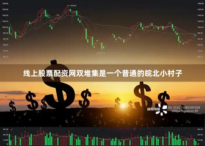 线上股票配资网双堆集是一个普通的皖北小村子