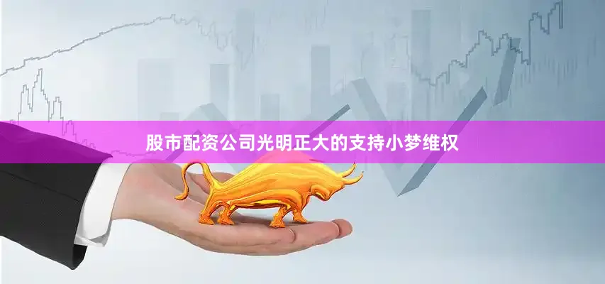 股市配资公司光明正大的支持小梦维权