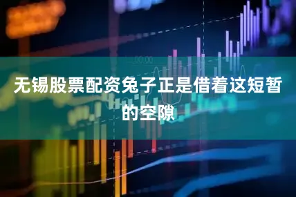 无锡股票配资兔子正是借着这短暂的空隙