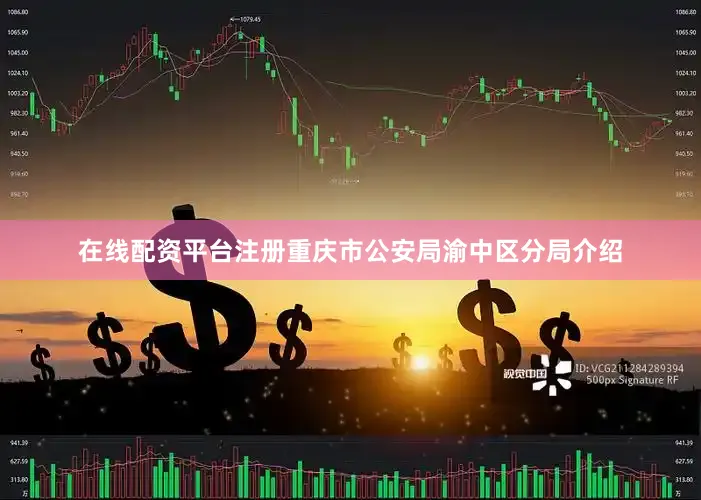 在线配资平台注册重庆市公安局渝中区分局介绍